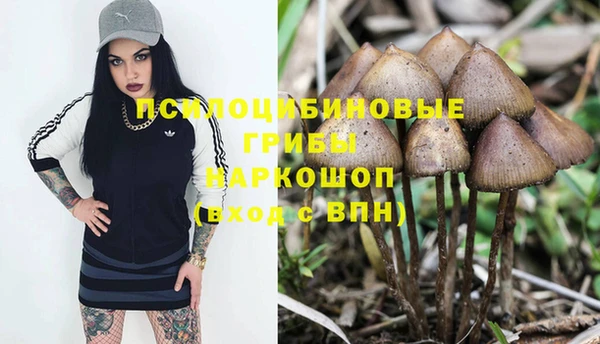 СК Арсеньев