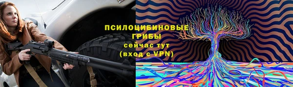 СК Арсеньев